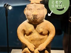 -广西壮族自治区博物馆