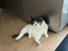 -浙江省博物馆(孤山馆区)