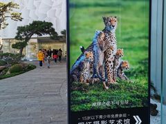 -罗红摄影艺术馆