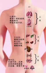 -香薇妮丝女子减肥院