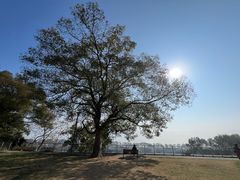 -东钱湖小普陀景区