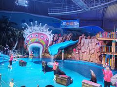 -烟台海昌鲸鲨海洋公园