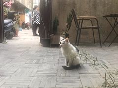 -二楼南书房