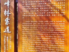 -老君山风景名胜区