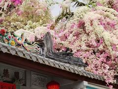 -深圳国际园林花卉博览园