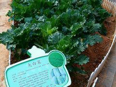 -天河儿童公园
