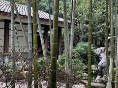 -南山植物园