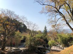 -塔川景区