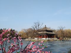 -圆明园停车场
