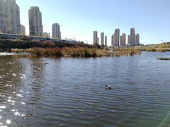 -前关湿地公园