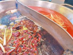 鸳鸯锅-沸炉重庆老火锅(军事博物馆店)