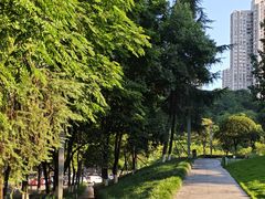 -龙头寺公园