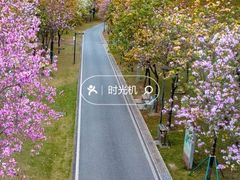 -晓港公园
