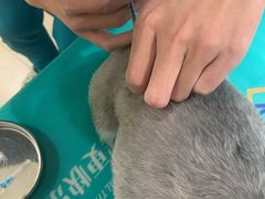 -美迦爱-牙专科·兔科·骨科诊疗中心(北苑店)