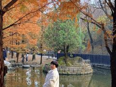 -白水寺森林公园
