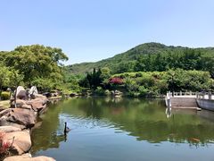 -白马涧龙池景区