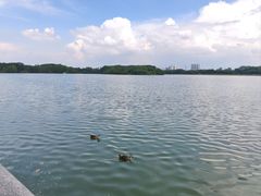 -海珠湖公园