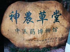 -广东中医药博物馆