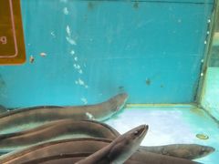 -国惠大酒楼(仓山万达店)