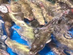 -盒马鲜生(莱蒙都会店)