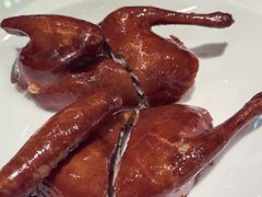 -新雅粤菜馆(南京东路店)