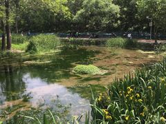 -白水寺森林公园