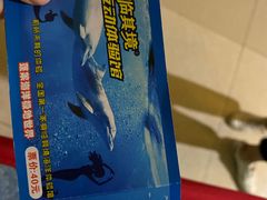 -蓬莱欧乐堡海洋极地世界