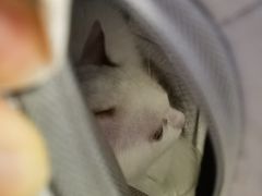 -福州肆爪动物医院