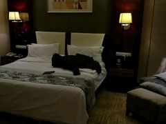 -抚顺中伟假日国际酒店