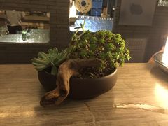 茅庐-茅庐·川粤精品私房菜(金沙遗址店)