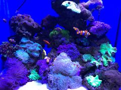 -多彩贵州城极地海洋世界