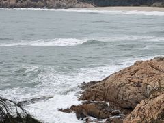 -广东惠东海龟国家级自然保护区