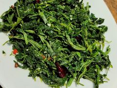 炝拌灰灰菜-小杨烤肉(朱雀店)