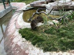 -泉州海丝野生动物世界