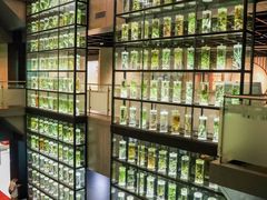 -广东中医药博物馆