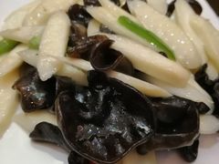 -蔡阿水羊肉店