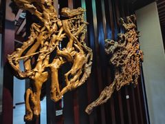 -烟台自然博物馆