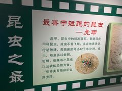 -上海昆虫博物馆