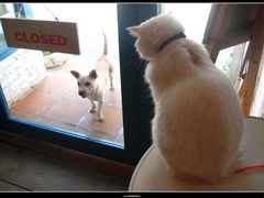 -Babycat私家御饼屋(龙头路一店)