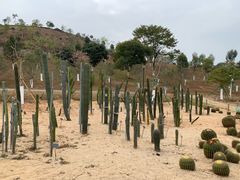 -东莞植物园