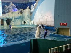 -福州罗源湾海洋世界旅游区