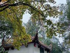 -岳麓山风景名胜区