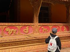 -西双版纳傣族园
