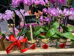 -豆豆花艺(新光天地店)