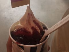 -JW德国冻酸奶Frozen Yogurt(龙湖成都滨江天街店)