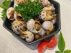 -毗陵醉·黑钻(湖塘店)