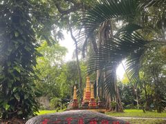 -瑞丽独树成林风景区