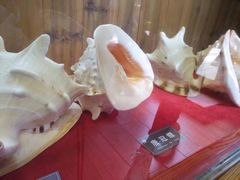 -北海金海湾红树林生态旅游区