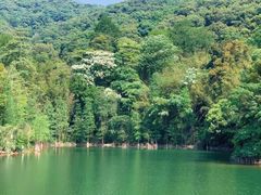 -广州市白云山风景名胜区