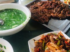 -特种渔场
